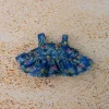 Beachwear Swimming Ring Goggles For 3.0 Labubu V1 V2 V3 Doll Outfit For Ropa Labubu Sailor Clothes Accessories - Image 23